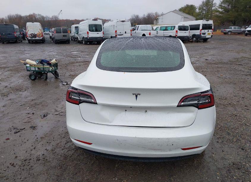 Photo 16 of 2021 Tesla Model 3 STANDARD RANGE PLUS REAR-WHEEL DRIVE (VIN 5YJ3E1EA9MF982687)