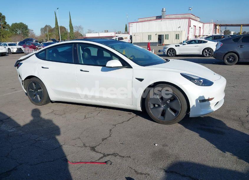 Photo 12 of 2021 Tesla Model 3 STANDARD RANGE PLUS REAR-WHEEL DRIVE (VIN 5YJ3E1EA9MF998081)