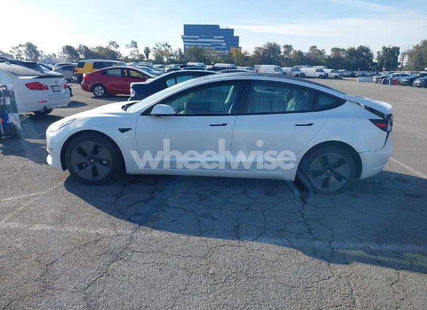 Photo 13 of 2021 Tesla Model 3 STANDARD RANGE PLUS REAR-WHEEL DRIVE (VIN 5YJ3E1EA9MF998081)
