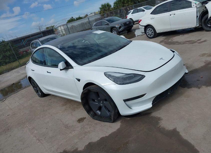 2023 Tesla Model 3 REAR-WHEEL DRIVE (VIN 5YJ3E1EA9PF434807) main photo