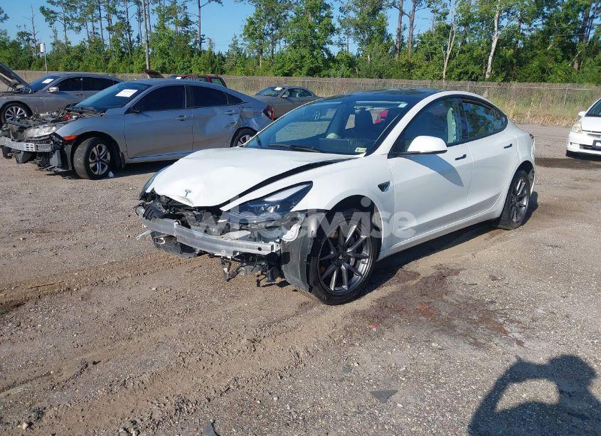 Photo 2 of 2023 Tesla Model 3 REAR-WHEEL DRIVE (VIN 5YJ3E1EA9PF557880)