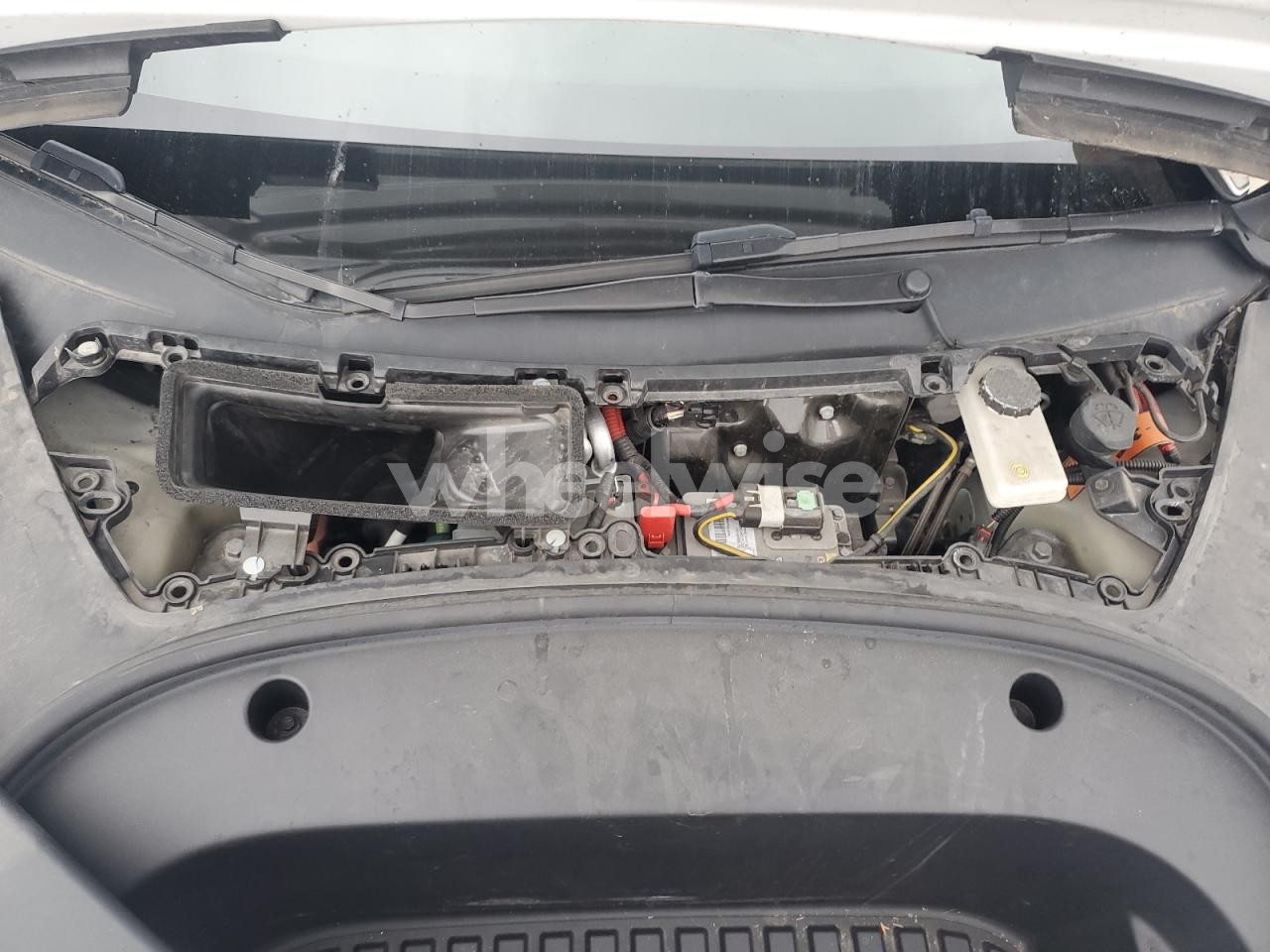 Photo 11 of 2023 TESLA MODEL 3 (VIN 5YJ3E1EA9PF559936)