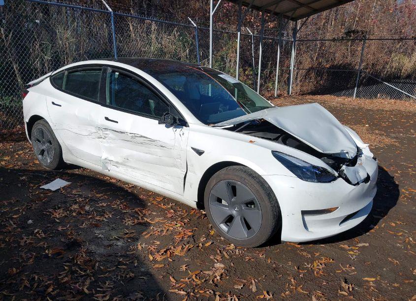 2023 Tesla Model 3 REAR-WHEEL DRIVE (VIN 5YJ3E1EA9PF577451) main photo