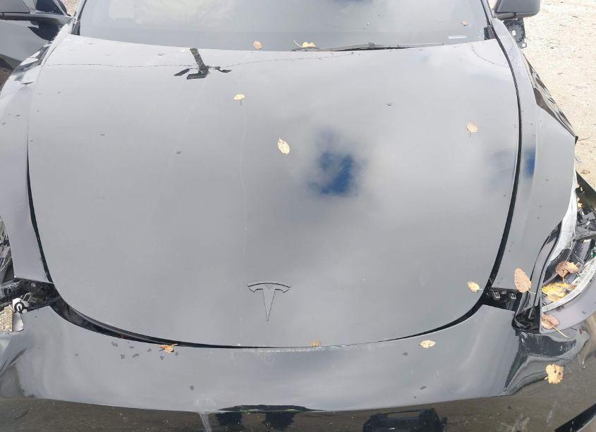 Photo 10 of 2023 Tesla Model 3 REAR-WHEEL DRIVE (VIN 5YJ3E1EA9PF592564)