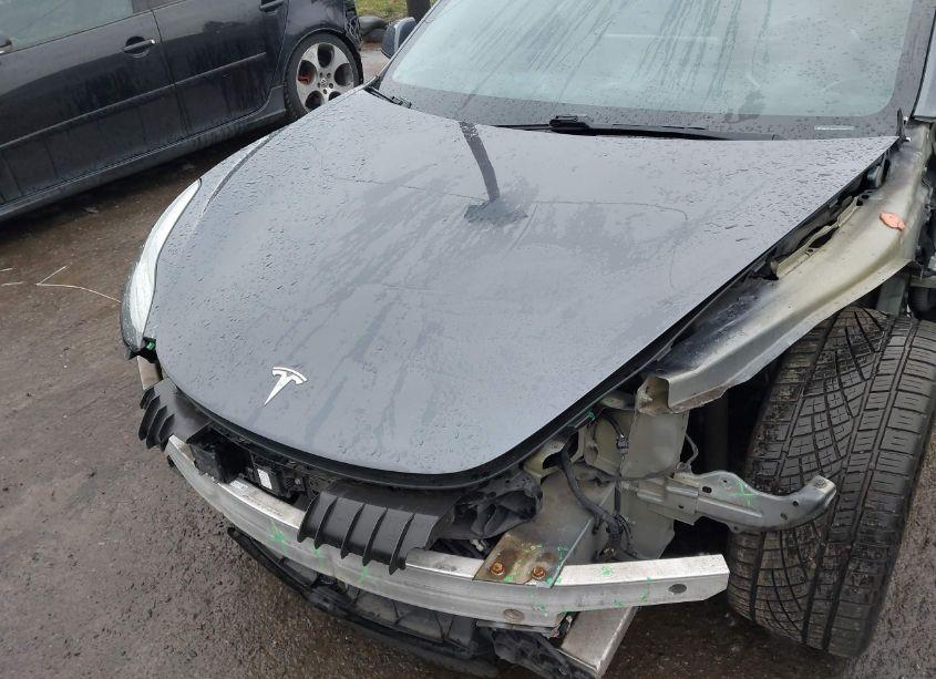 Photo 10 of 2018 Tesla Model 3 LONG RANGE/MID RANGE (VIN 5YJ3E1EAXJF012021)