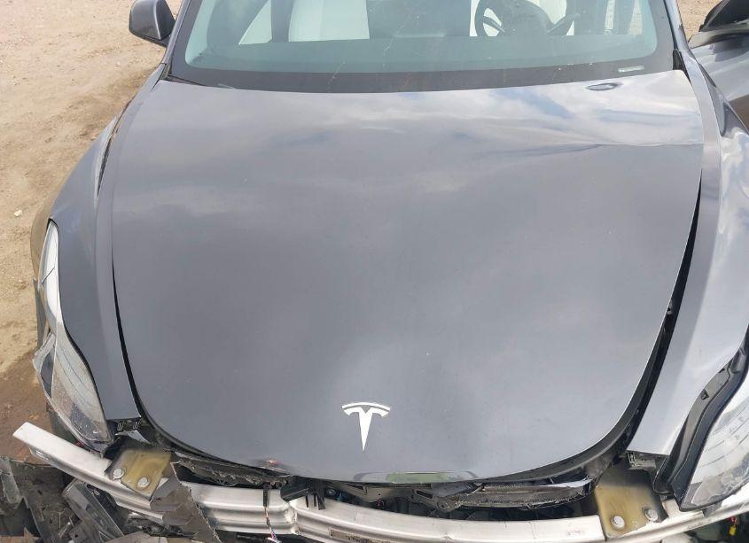 Photo 10 of 2021 Tesla Model 3 STANDARD RANGE PLUS REAR-WHEEL DRIVE (VIN 5YJ3E1EAXMF921851)