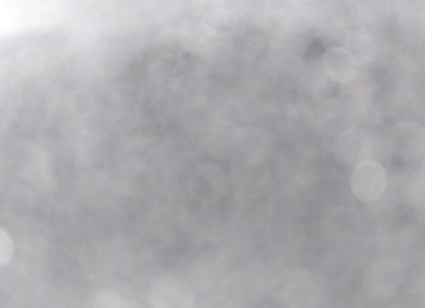 Photo 10 of 2022 Tesla Model 3 REAR-WHEEL DRIVE (VIN 5YJ3E1EAXNF185687)