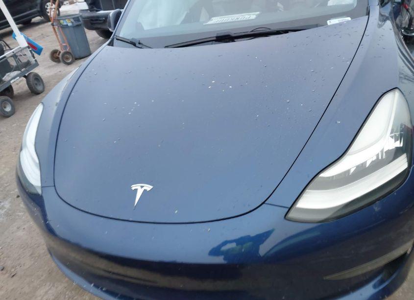 Photo 10 of 2019 Tesla Model 3 LONG RANGE/PERFORMANCE (VIN 5YJ3E1EB0KF364972)