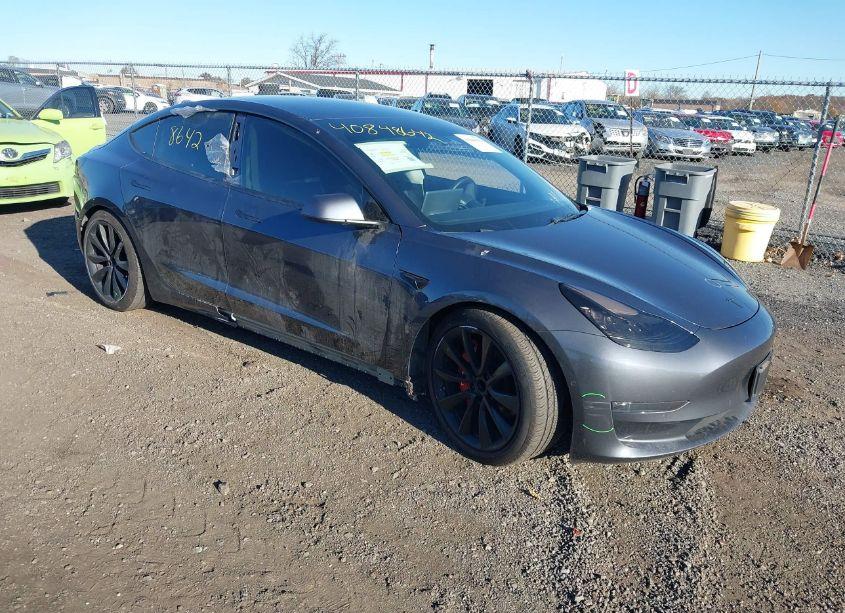 2019 Tesla Model 3 LONG RANGE/PERFORMANCE (VIN 5YJ3E1EB0KF453487) main photo