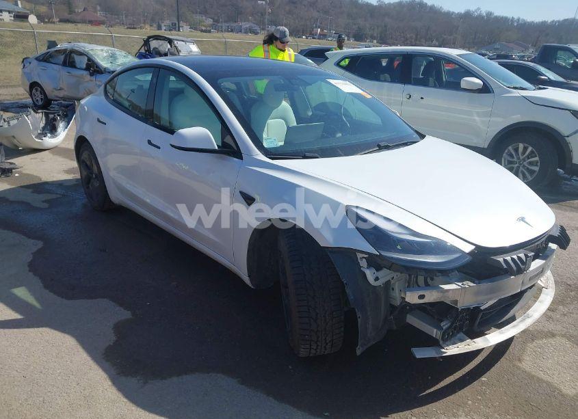 2021 Tesla Model 3 LONG RANGE DUAL MOTOR ALL-WHEEL DRIVE (VIN 5YJ3E1EB0MF860289) main photo