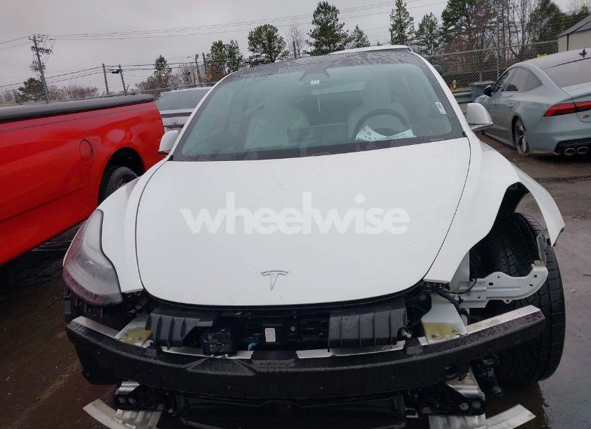 Photo 12 of 2019 Tesla Model 3 LONG RANGE/PERFORMANCE (VIN 5YJ3E1EB1KF437847)