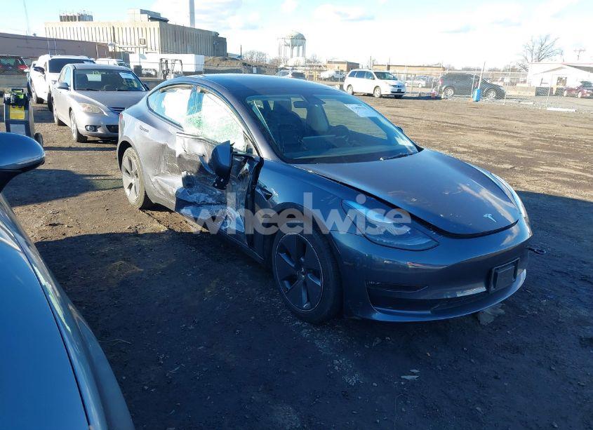 2023 Tesla Model 3 LONG RANGE DUAL MOTOR ALL-WHEEL DRIVE (VIN 5YJ3E1EB2PF389542) main photo