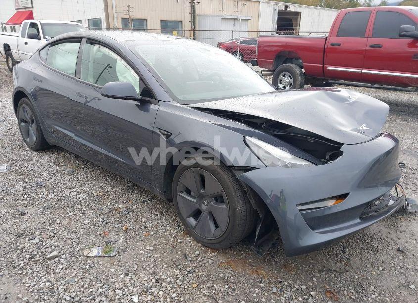 2022 Tesla Model 3 LONG RANGE DUAL MOTOR ALL-WHEEL DRIVE (VIN 5YJ3E1EB3NF352741) main photo