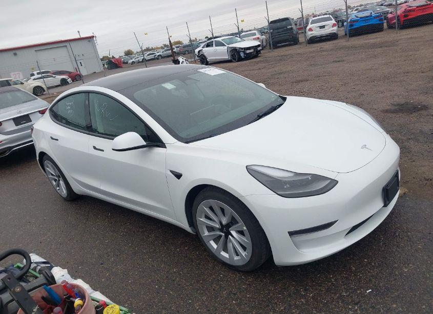 2023 Tesla Model 3 LONG RANGE DUAL MOTOR ALL-WHEEL DRIVE (VIN 5YJ3E1EB3PF390084) main photo