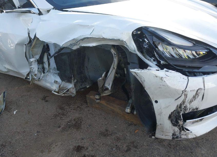 Photo 19 of 2019 Tesla Model 3 LONG RANGE/PERFORMANCE (VIN 5YJ3E1EB4KF194678)