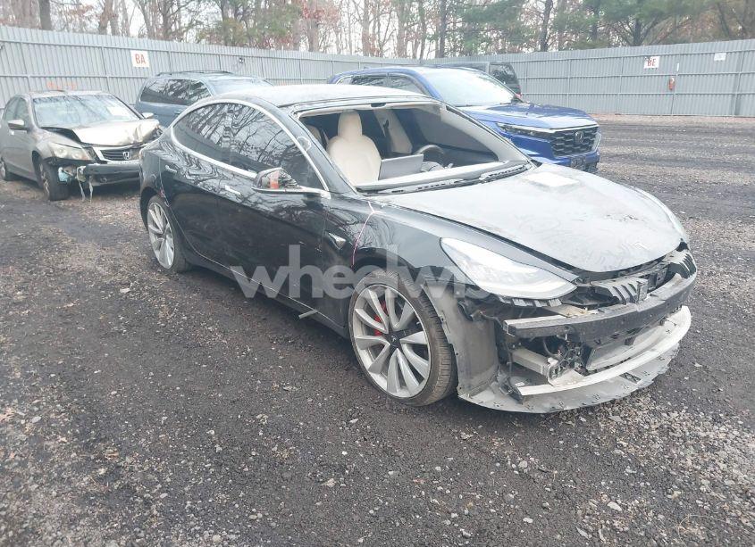 2019 Tesla Model 3 LONG RANGE/PERFORMANCE (VIN 5YJ3E1EB4KF434215) main photo