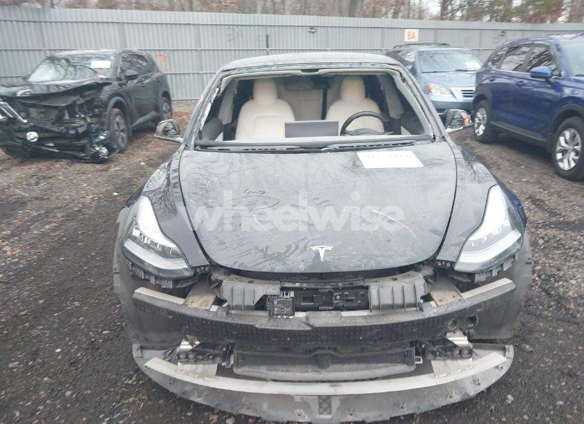 Photo 12 of 2019 Tesla Model 3 LONG RANGE/PERFORMANCE (VIN 5YJ3E1EB4KF434215)