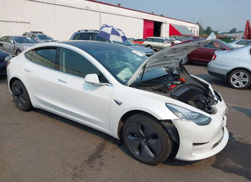 2020 Tesla Model 3 LONG RANGE DUAL MOTOR ALL-WHEEL DRIVE (VIN 5YJ3E1EB4LF647733) main photo