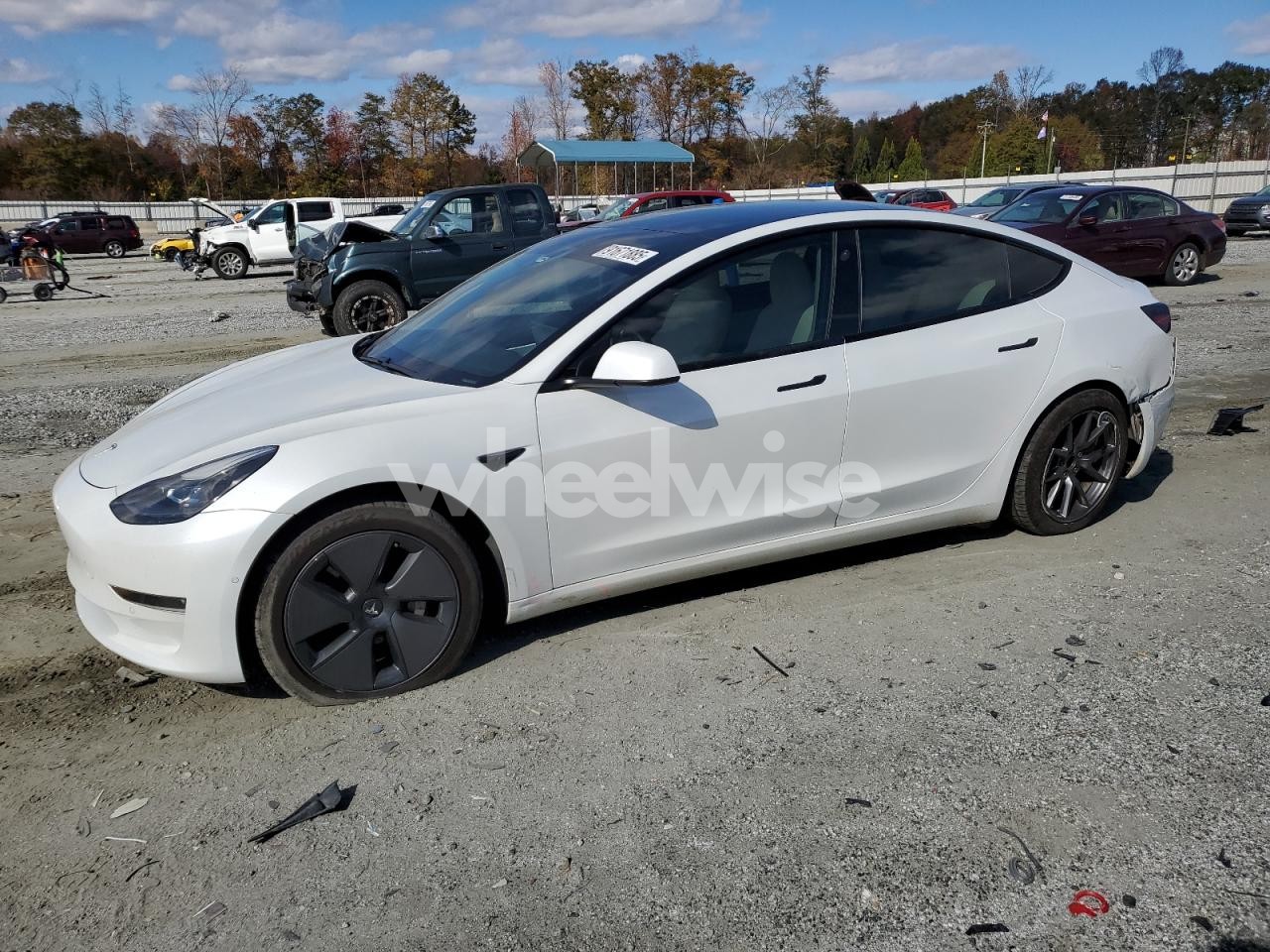 2021 TESLA MODEL 3 (VIN 5YJ3E1EB4MF903354) main photo