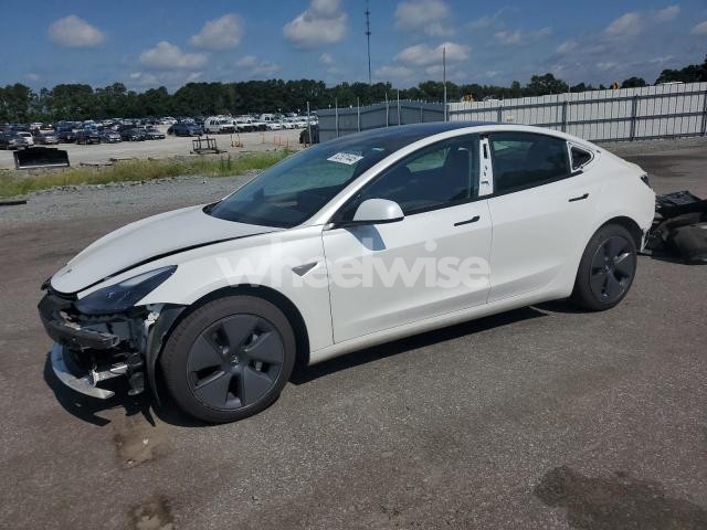 Photo 6 of 2021 TESLA MODEL 3 N/A (VIN 5YJ3E1EB5MF037082)