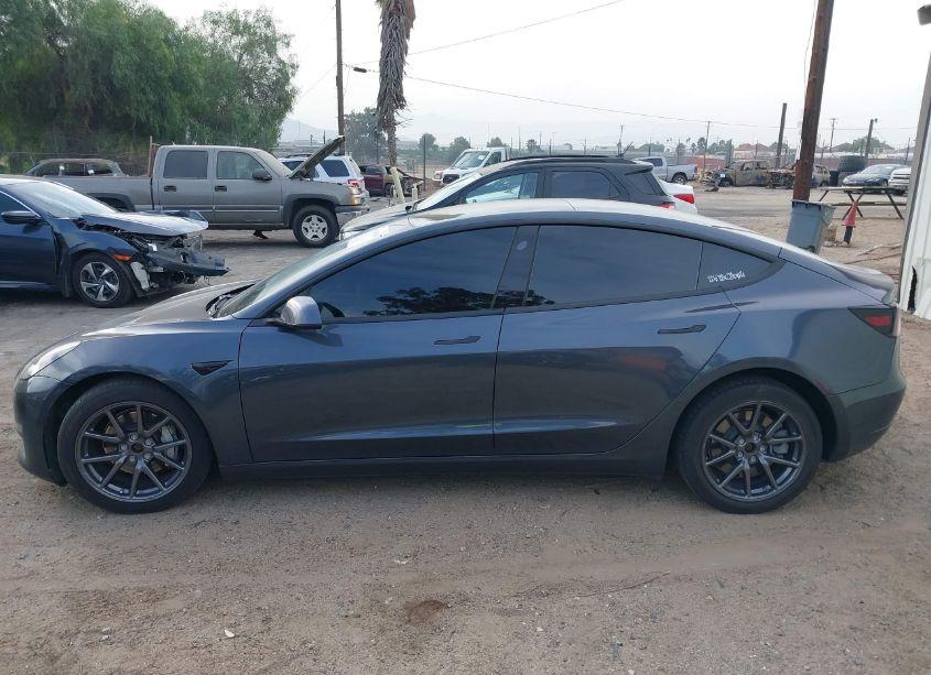 Photo 14 of 2019 Tesla Model 3 LONG RANGE/PERFORMANCE (VIN 5YJ3E1EB8KF492926)