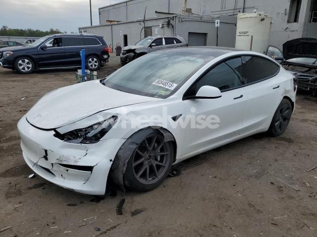 Photo 6 of 2021 TESLA MODEL 3 N/A (VIN 5YJ3E1EB8MF062431)