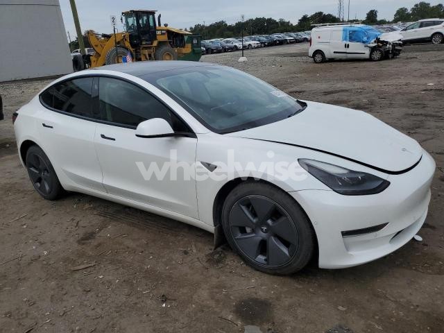Photo 7 of 2021 TESLA MODEL 3 N/A (VIN 5YJ3E1EB8MF062431)