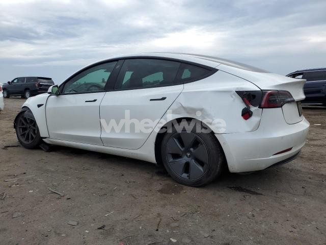 Photo 9 of 2021 TESLA MODEL 3 N/A (VIN 5YJ3E1EB8MF062431)