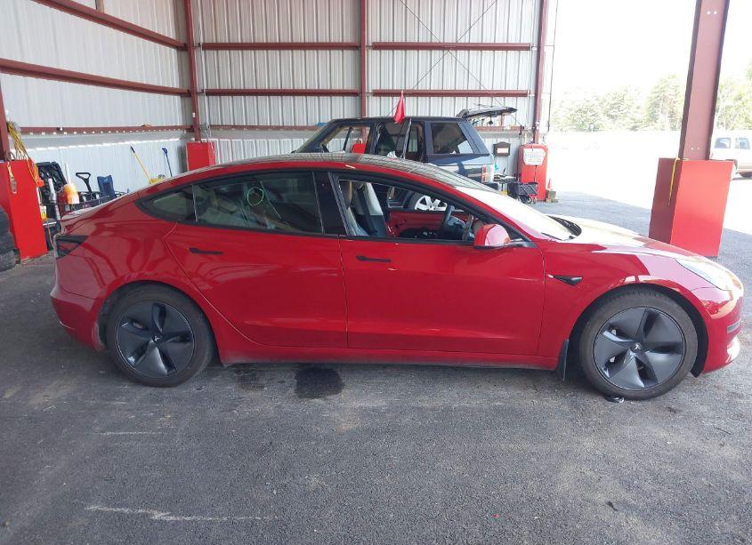 Photo 14 of 2019 Tesla Model 3 LONG RANGE/PERFORMANCE (VIN 5YJ3E1EB9KF387201)
