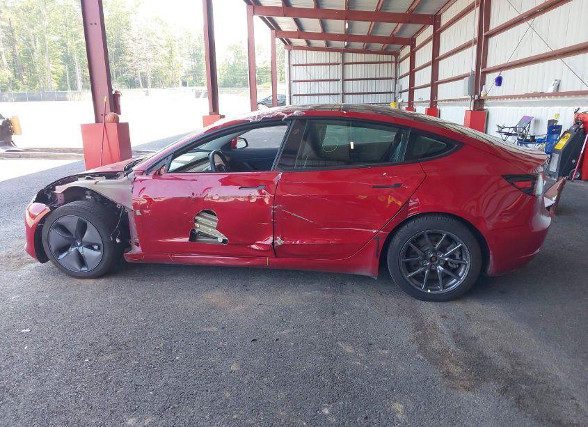 Photo 15 of 2019 Tesla Model 3 LONG RANGE/PERFORMANCE (VIN 5YJ3E1EB9KF387201)