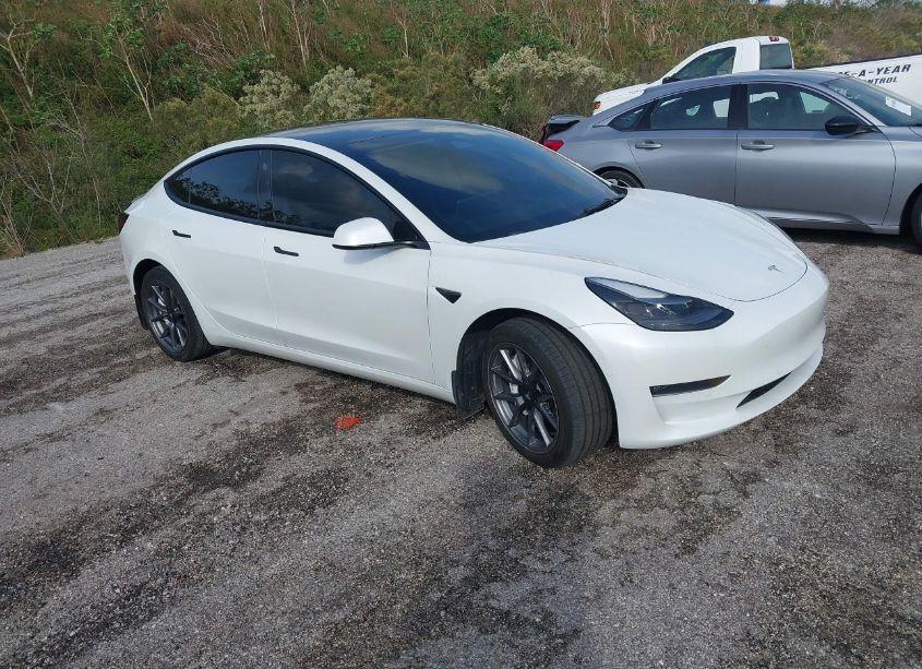 2022 Tesla Model 3 LONG RANGE DUAL MOTOR ALL-WHEEL DRIVE (VIN 5YJ3E1EB9NF310011) main photo