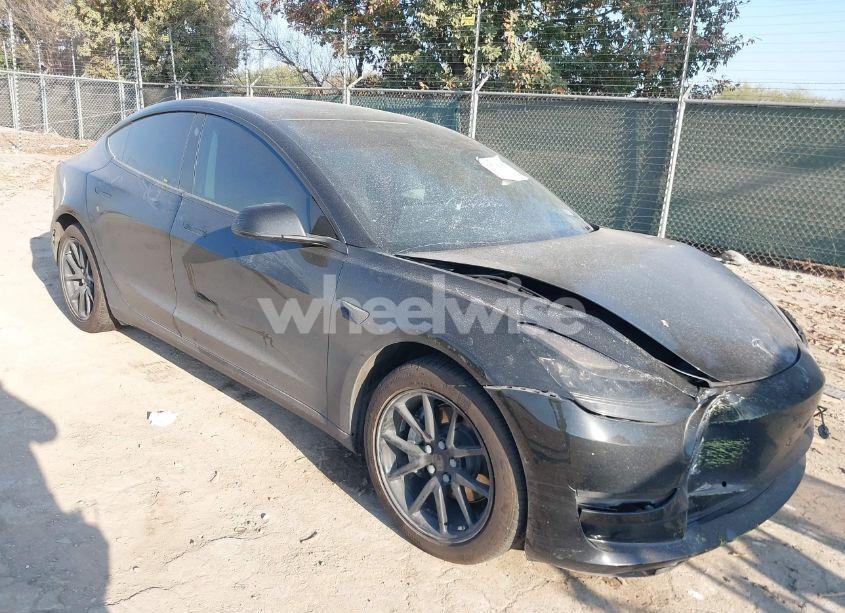 2019 Tesla Model 3 LONG RANGE/PERFORMANCE (VIN 5YJ3E1EBXKF384209) main photo