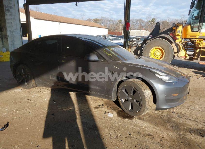 2022 Tesla Model 3 LONG RANGE DUAL MOTOR ALL-WHEEL DRIVE (VIN 5YJ3E1EBXNF262051) main photo