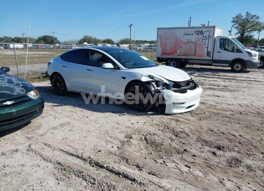 2023 Tesla Model 3 PERFORMANCE DUAL MOTOR ALL-WHEEL DRIVE (VIN 5YJ3E1EC3PF503833) main photo