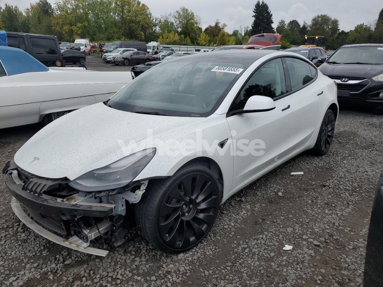 2023 TESLA MODEL 3 (VIN 5YJ3E1EC5PF394646) main photo