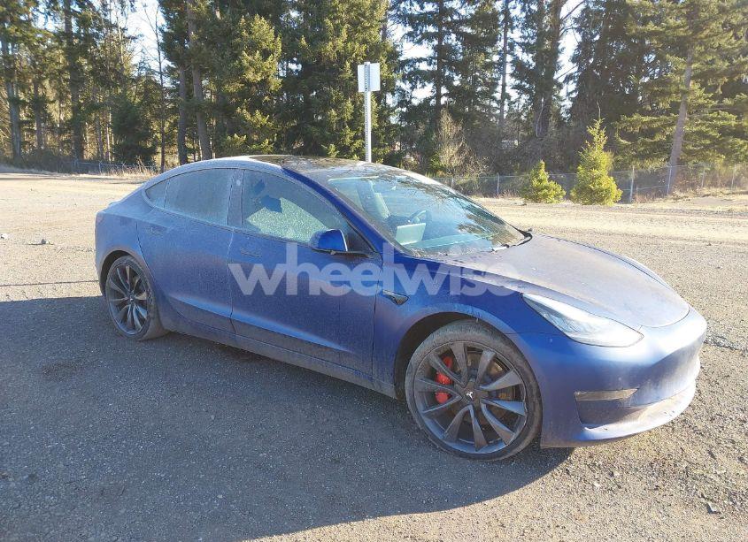 2020 Tesla Model 3 PERFORMANCE DUAL MOTOR ALL-WHEEL DRIVE (VIN 5YJ3E1ECXLF647079) main photo