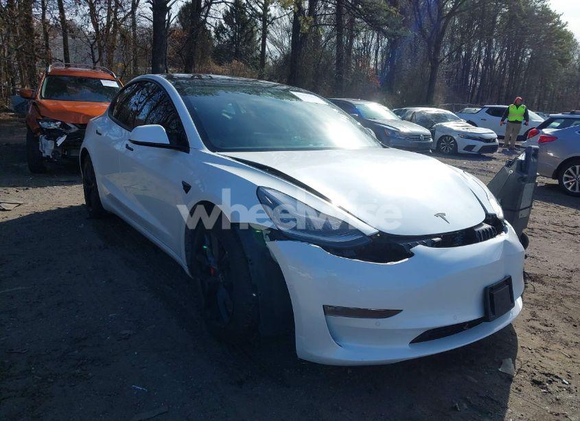 2020 Tesla Model 3 PERFORMANCE DUAL MOTOR ALL-WHEEL DRIVE (VIN 5YJ3E1ECXLF791814) main photo