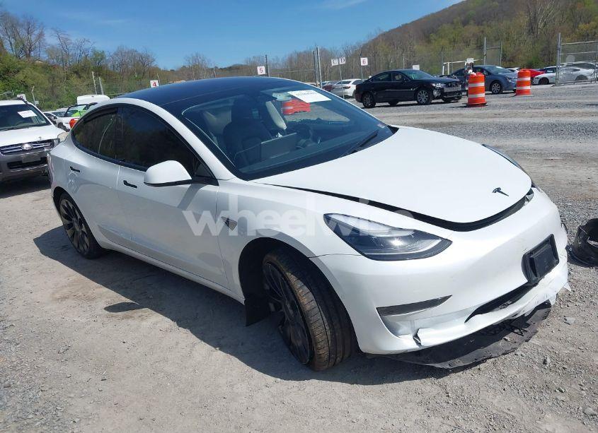 2021 Tesla Model 3 PERFORMANCE DUAL MOTOR ALL-WHEEL DRIVE (VIN 5YJ3E1ECXMF083757) main photo