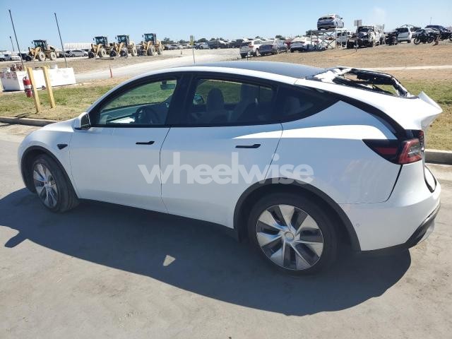 2021 TESLA MODEL Y (VIN 5YJYGAEE9MF281117) main photo