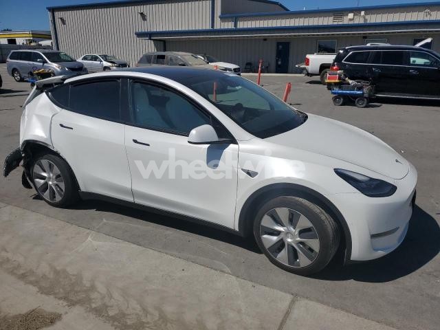 Photo 10 of 2021 TESLA MODEL Y (VIN 5YJYGAEE9MF281117)