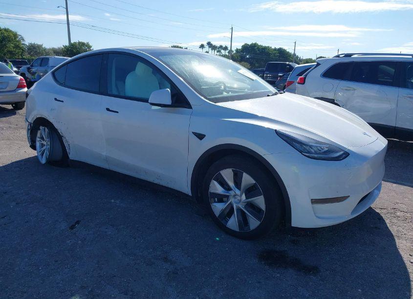 2021 Tesla Model Y STANDARD RANGE REAR-WHEEL DRIVE (VIN 5YJYGDED5MF115203) main photo