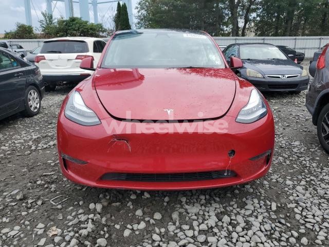 2021 TESLA MODEL Y (VIN 5YJYGDEE1MF196368) main photo