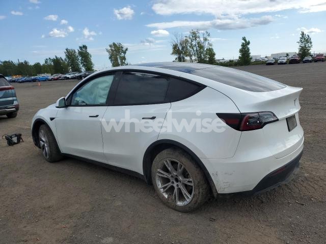 2020 TESLA MODEL Y (VIN 5YJYGDEE2LF026213) main photo