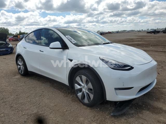 2021 TESLA MODEL Y (VIN 5YJYGDEE3MF148774) main photo