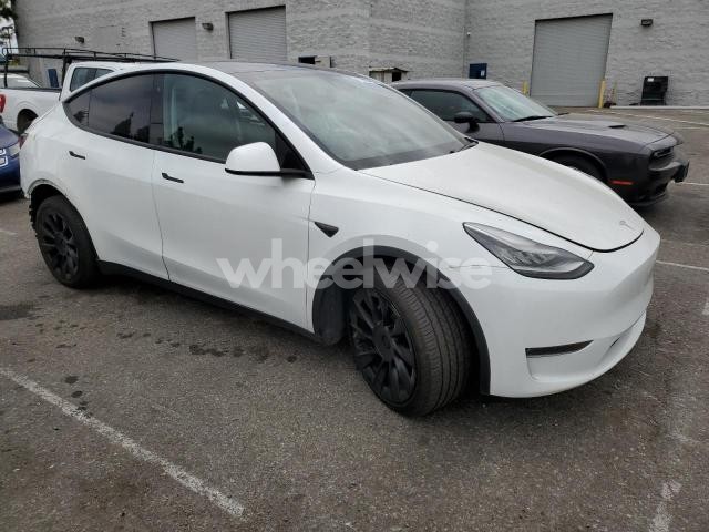 2020 TESLA MODEL Y (VIN 5YJYGDEE4LF017318) main photo