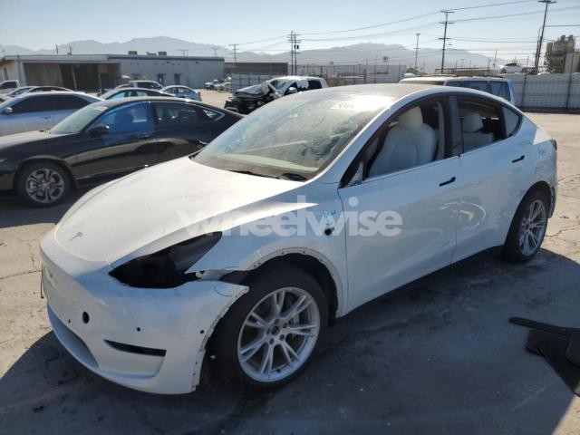 2021 TESLA MODEL Y (VIN 5YJYGDEE4MF210067) main photo