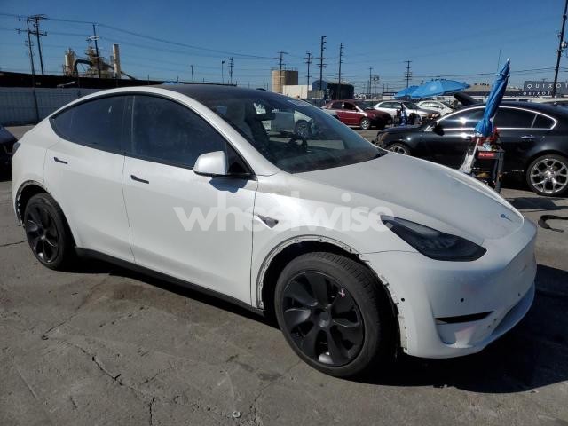 Photo 14 of 2021 TESLA MODEL Y (VIN 5YJYGDEE4MF210067)