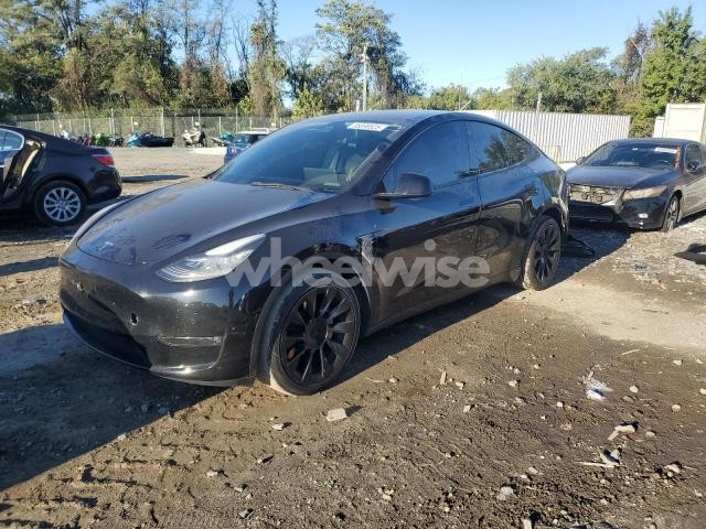 Photo 11 of 2021 TESLA MODEL Y (VIN 5YJYGDEE4MF253999)