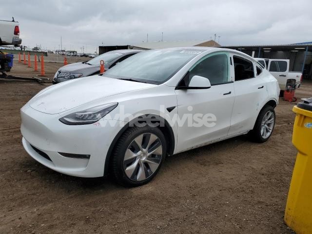 2021 TESLA MODEL Y (VIN 5YJYGDEE5MF244969) main photo