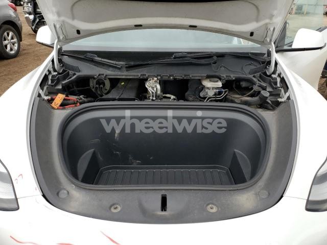 Photo 10 of 2021 TESLA MODEL Y (VIN 5YJYGDEE5MF244969)